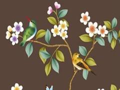 74年屬虎女今年每月運(yùn)勢(shì) 蛇年屬虎的運(yùn)勢(shì)