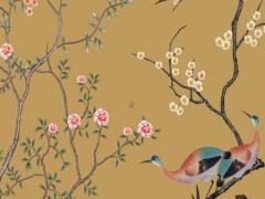 明年屬兔本命年能和屬蛇結婚嗎,明年屬兔本命年能和屬蛇結婚嗎好嗎